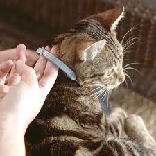 Seresto Flea & Tick Collars for Cats